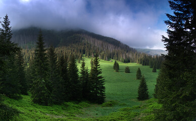 Waksmundzka Polana - Tatry © Ola i Eryk