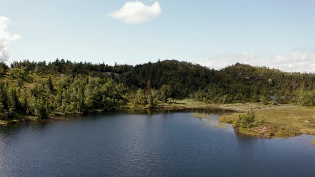 Arial shot with a drone from the mountains and forest in Norway, shot at the Vassfaret in Hallingdal.  The lake is very good fishing water with large trout. 
