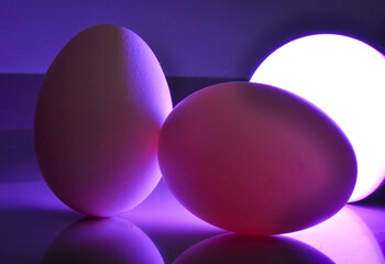 Ester colorful egg of hen directly from fresh organic farms with light bulb lighting to eat and...