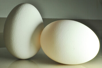 Ester colorful egg of hen directly from fresh farms with light bulb lighting to eat and stay healthy
