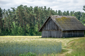 Obraz premium old barn in the field
