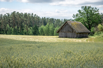 Fototapeta premium rural landscape with wooden house