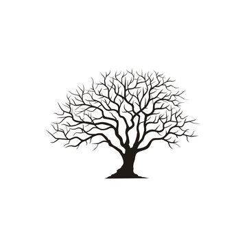Dry Dead Oak Maple Banyan Cedar Tree Silhouette illustration logo design 