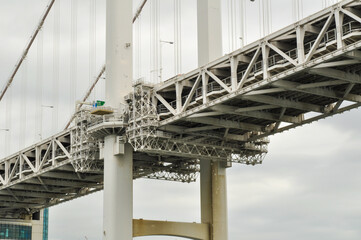 Fototapeta premium 河にかかる橋