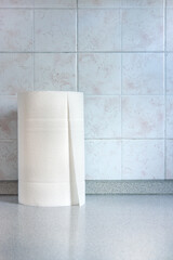 Roll of paper towels. Vertical image of the object on the kitchen table