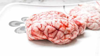 The brain of an animal also looks like human brain
