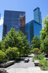 Modern Glass Skyscrapers seen from Dutch Kills Green Park with Plants and No People during Spring in Long Island City Queens New York