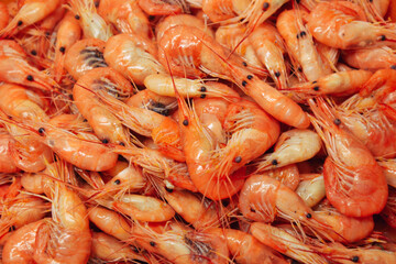 Shrimps background. Palaemon elegans european rockpool shrimp. Fresh prawn. Seafood background.