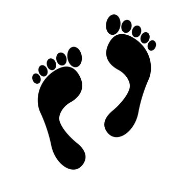 Foot print icon. Feet icon vector isolated on white background. Vector illustration flat design style.