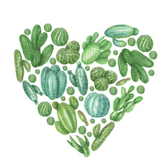 Heart of cacti