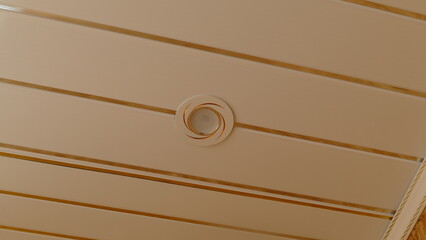 lamp mounted in the ceiling panel