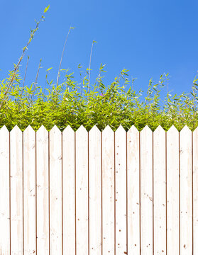 White Fence And Blue Sky