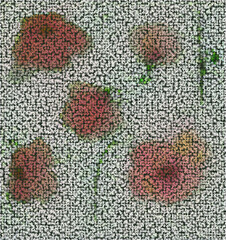 Set of loose poppy flowers with square tiles