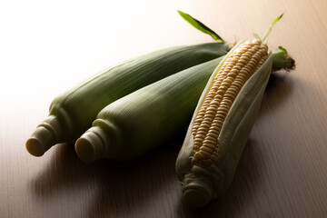 採れたての新鮮なトウモロコシ