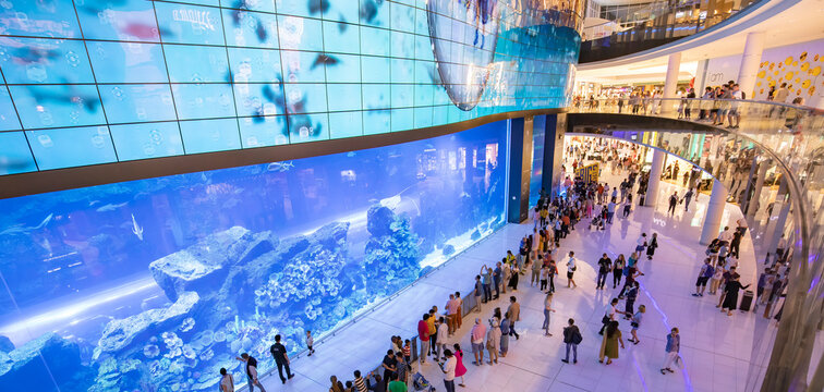 Dubai Aquarium located in Dubai mall, Arab Emirates 2020