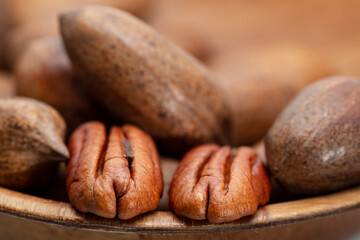 Pecan (Carya illinoinensis) is a species of hickory native to northern Mexico. The seed is an edible nut.