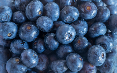 Freshly picked blueberries. Fresh Blueberry Background. Texture blueberry berries close up. Sprinkle blueberries. Fresh blueberries scattered.