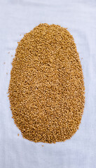 Heap of wheat grains health secret | selective focus |