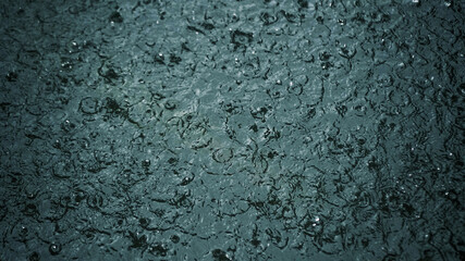 rain drops on a window