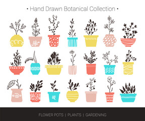 Home flowers, plants in pots. Botanical hand drawn vector illustrations for logo design, branding, fashion textile print, invitation card. Cute cartoon flowers and herbs isolated on white background.