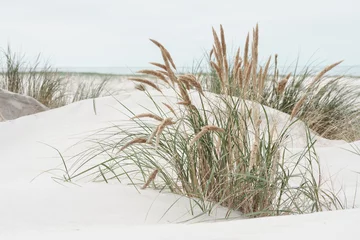Dünenlandschaft an der Nordsee © ThomBal