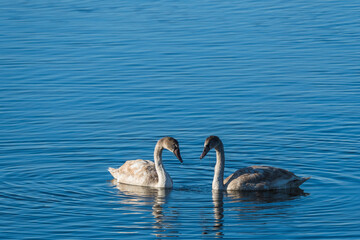 Ruegen Natur Sonne Farbe
