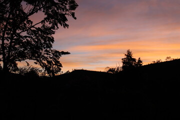 sunset in the forest