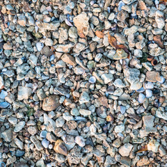 natural background and texture of a river shore: gravel, rocks, leaves and shells