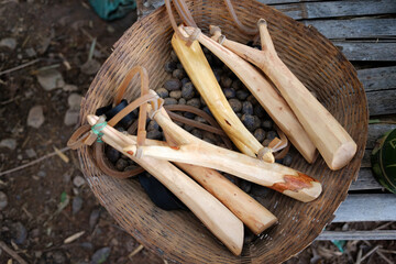 Wooden catapult and ammunition Mold from clay in basket