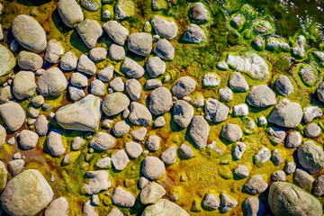 Aerial view on sea rocks with green algea