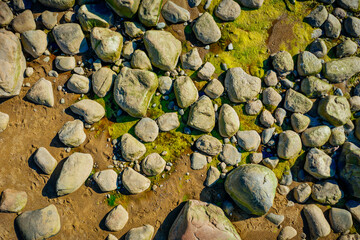 Aerial view on sea rocks with green algea