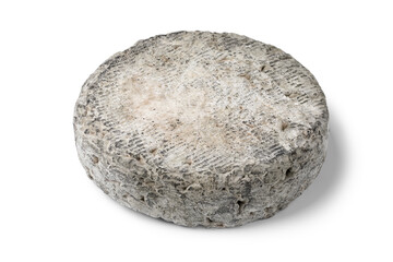 Whole fresh French Rochebaron cheese