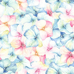 Watercolor seamless pattern with inflorescence flowers hydrangea pink and blue colors. Floral illustration for summer textile, wrapping paper or wallpapers.