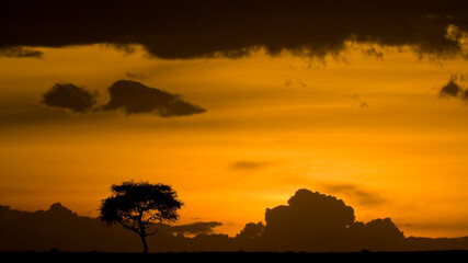 Sunset and beautiful cloudscape in the Maasai Mara, Kenya