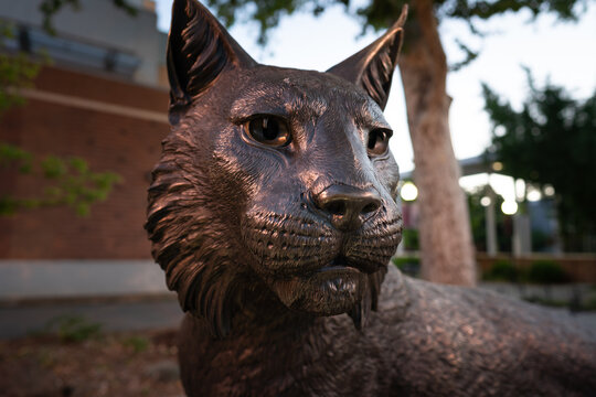 Close up photo of a wildcat statue