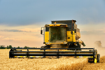 Fototapeta na wymiar Combine harvesters working in wheat field with cloudy moody sky. Harvesting machine driver cutting crop in a farmland. Agriculture theme, harvesting season.