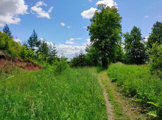 Fototapeta na wymiar path near a slope among green grass and trees on a sunny day against a blue sky