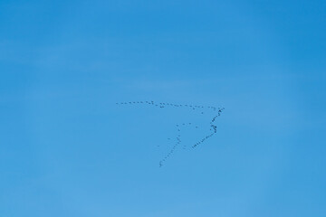 airplane in the sky © vorderlinse
