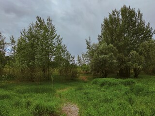 Obraz premium path among green grass and trees against a dark cloudy sky
