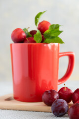 Fresh raw plums in red cup, healthy sweet food