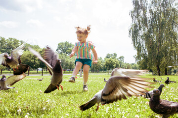 Little girl scares pigeons fun game summer. ecology, runs on the grass in the city park outdoors,...
