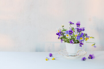 viola flowers in white cup on white background