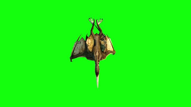 pterodactyl fly 3d animation. green screen 4k footage.