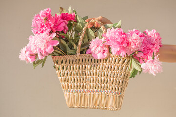 Boho girl holding pink peonies in straw basket. Stylish hipster woman in bohemian floral dress gathering peony flowers on white backgrounds. International Womens Day. Wedding decor and arrangement