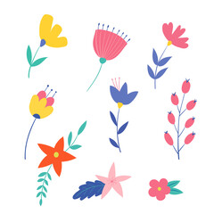 Set of flowers. Vector illustration isolated on a white background.Decorative objects for cards, invitations or poster.