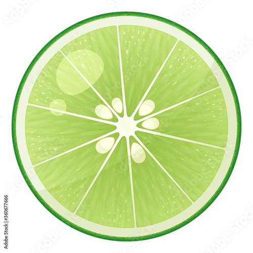 Fototapete すだちの断面のイラスト 真上 Fototapeten ふわぷか Fototapete すだちの断面のイラスト 真上 Fototapeten ふわぷか