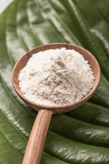 Collagen powder over green textured leaf background with copy space. Dietary nutritional supplement