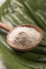 Collagen powder over green textured leaf background with copy space. Dietary nutritional supplement