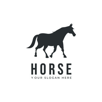 Horse logo design. Shilhouette animal horse vector drawing