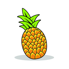 Fresh Tropical Pineapple - delicious pineapple with leaf and white background